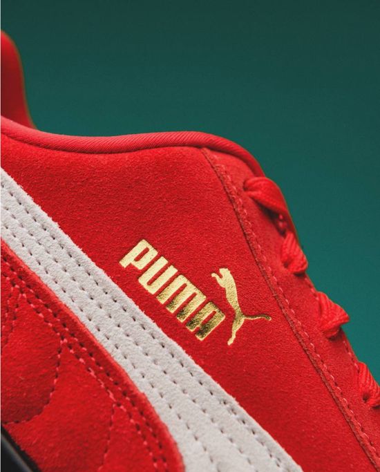 PUMA