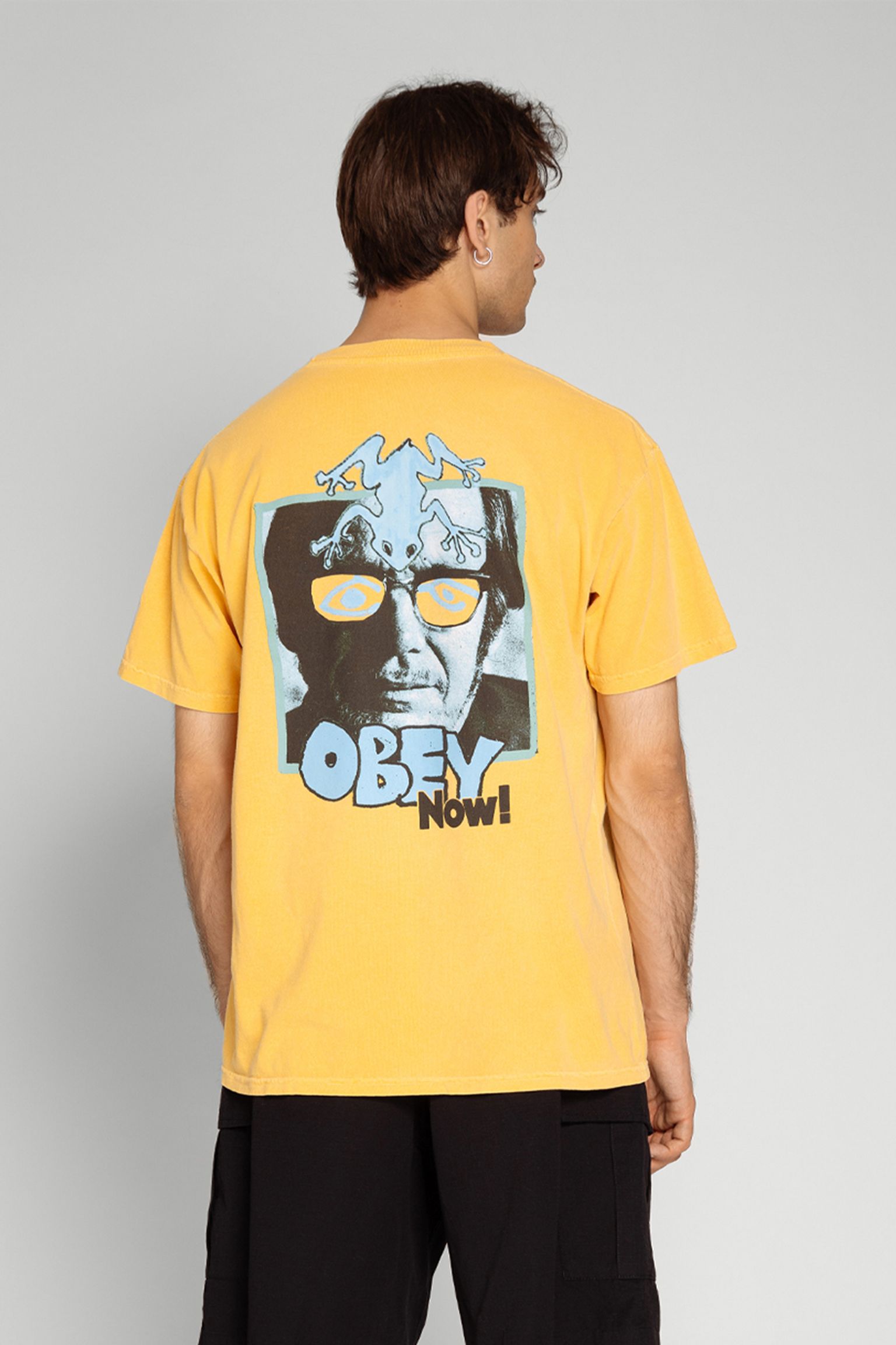 Стильні Футболка OBEY HERE LIES THE EARTH