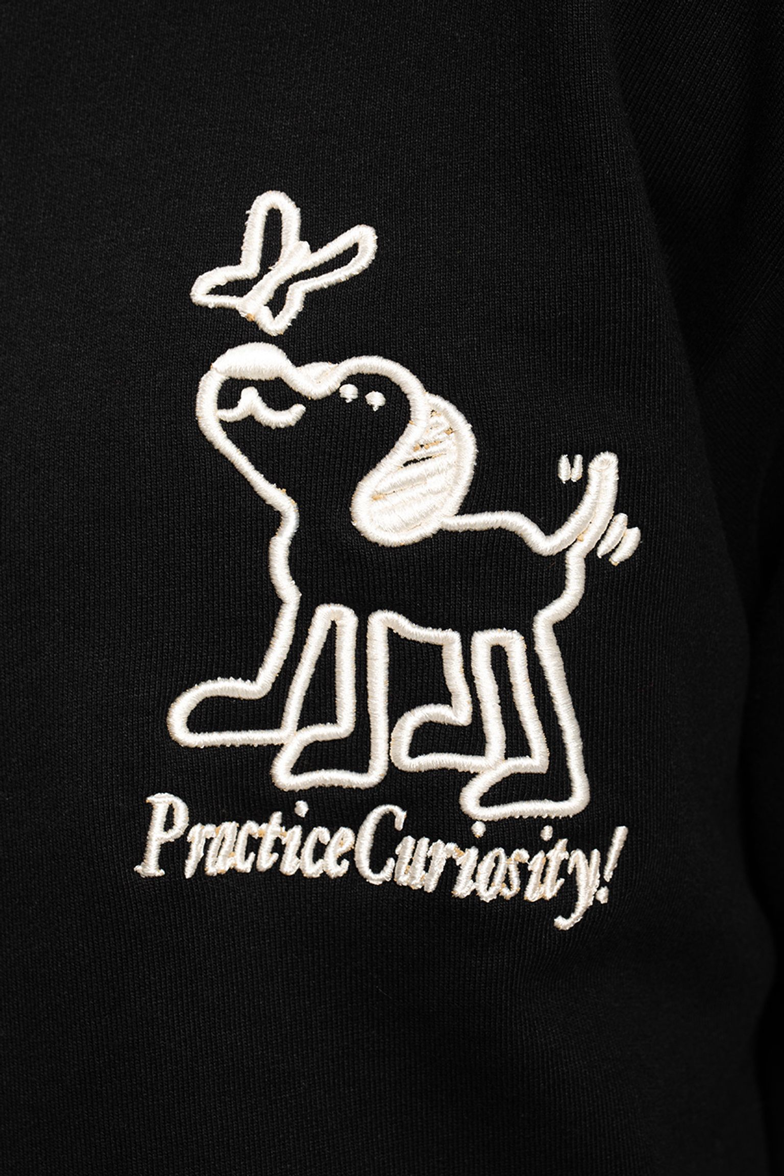 Худі   PRACTICE CURIOSITY HOODIE