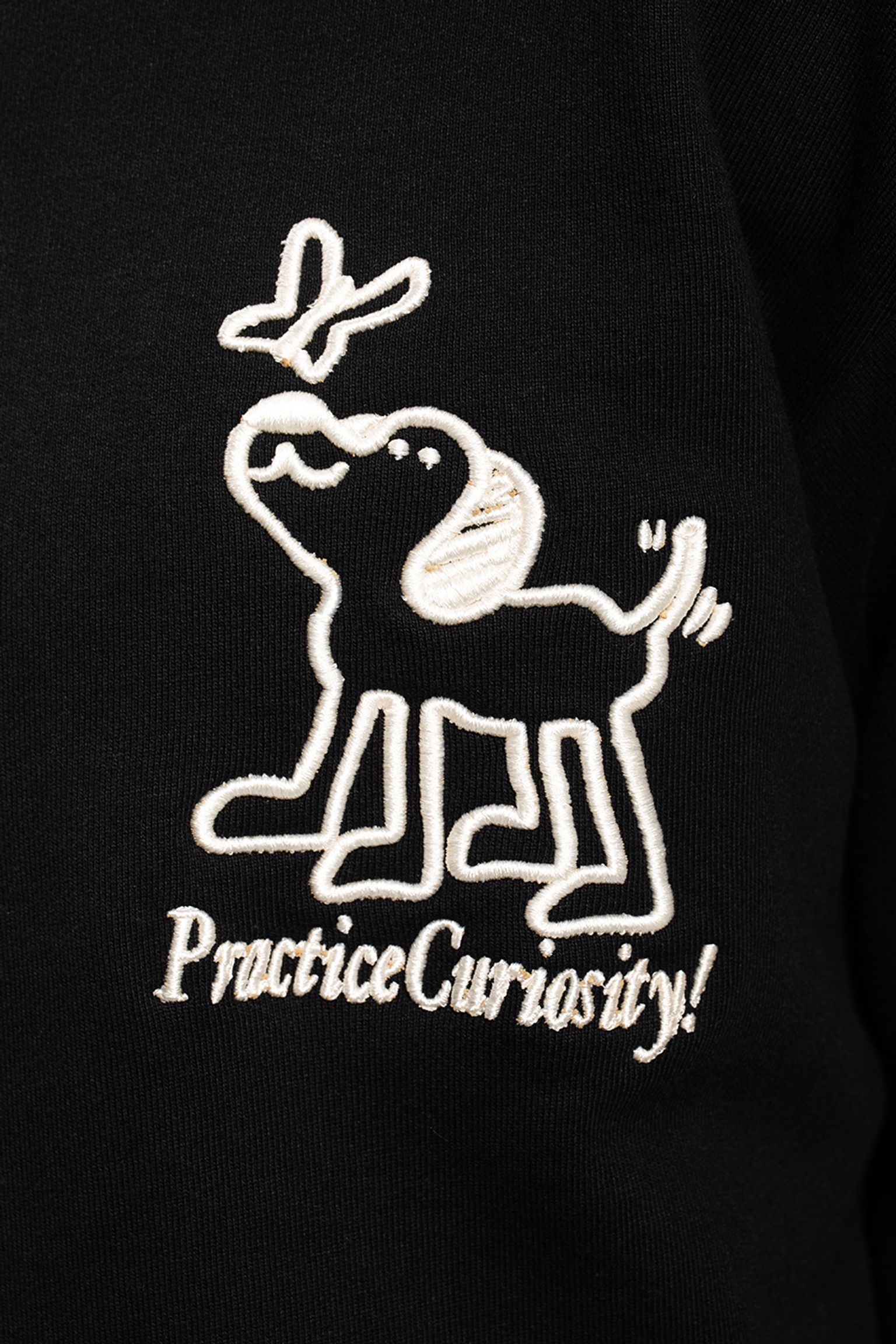 Широкий вибір Худі   PRACTICE CURIOSITY HOODIE