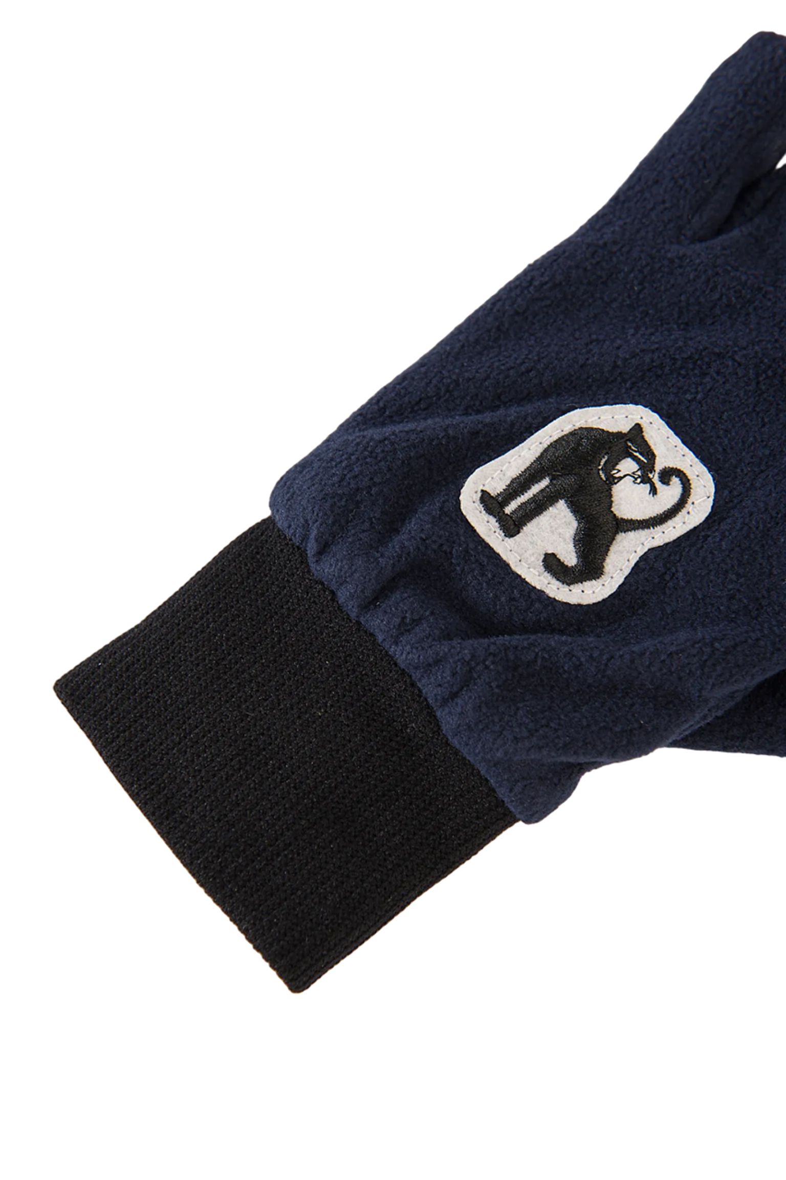 Рукавиці MINI RODINI KIDS Microfleece gloves купити в Україні