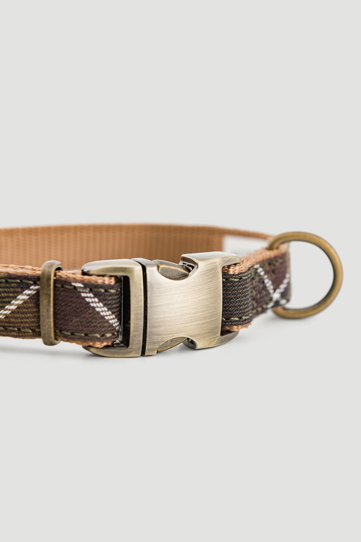 Нашийник Webbing Collar