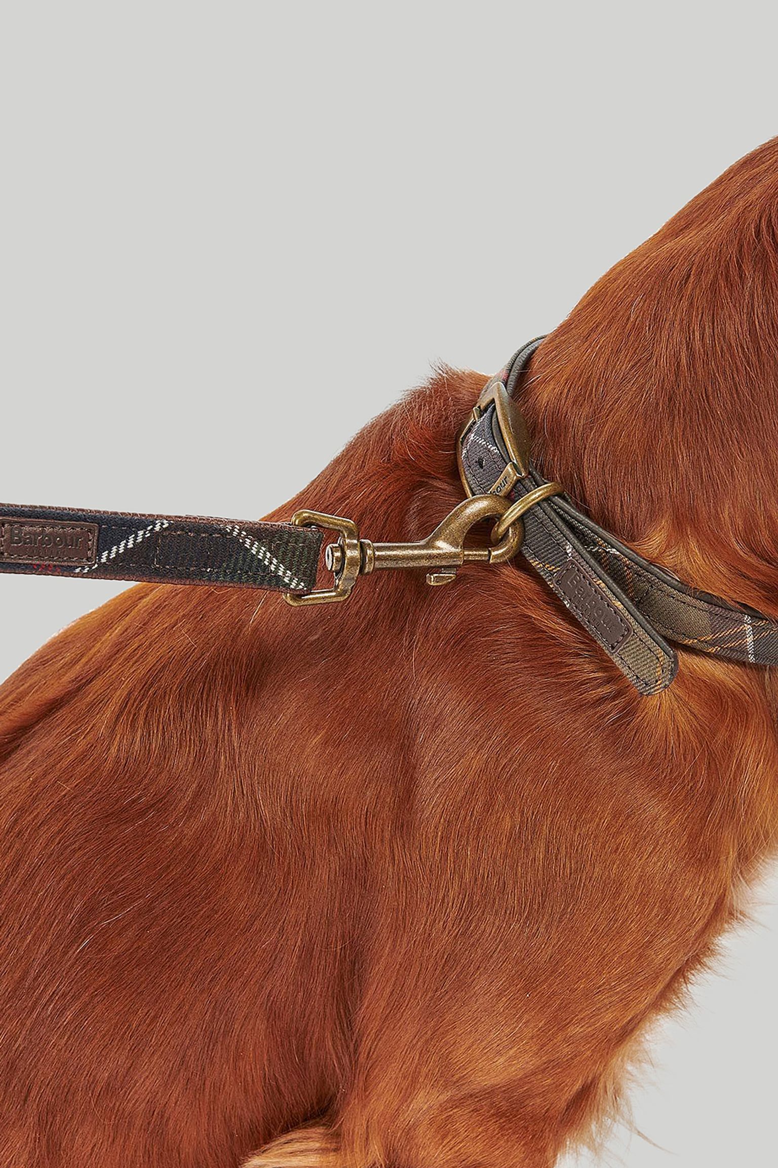 Повідок для собак Tartan Dog Lead