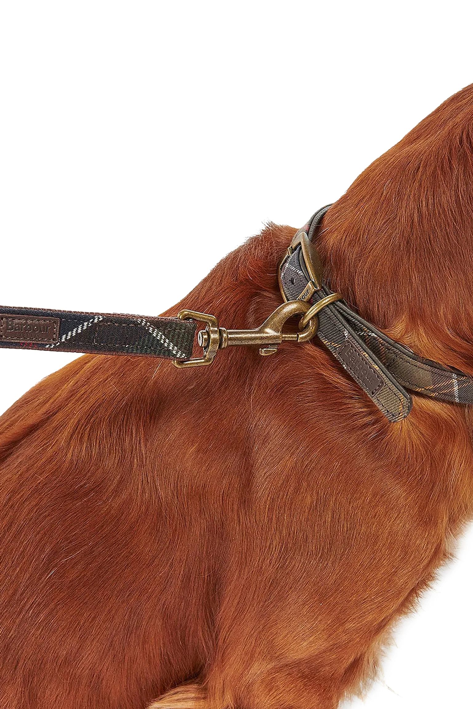 Стильные Поводок для собак Tartan Dog Lead