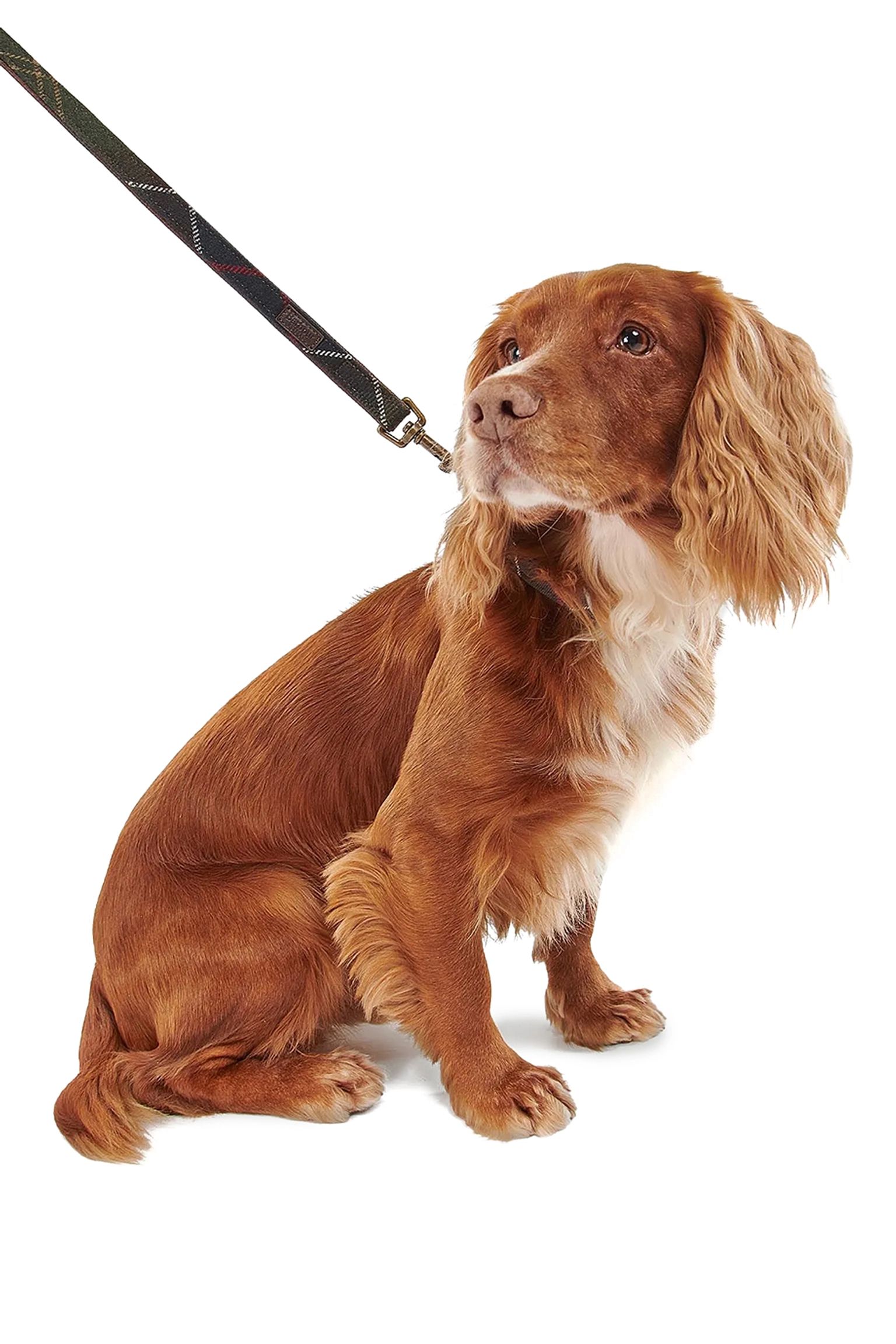 Широкий выбор Поводок для собак Tartan Dog Lead