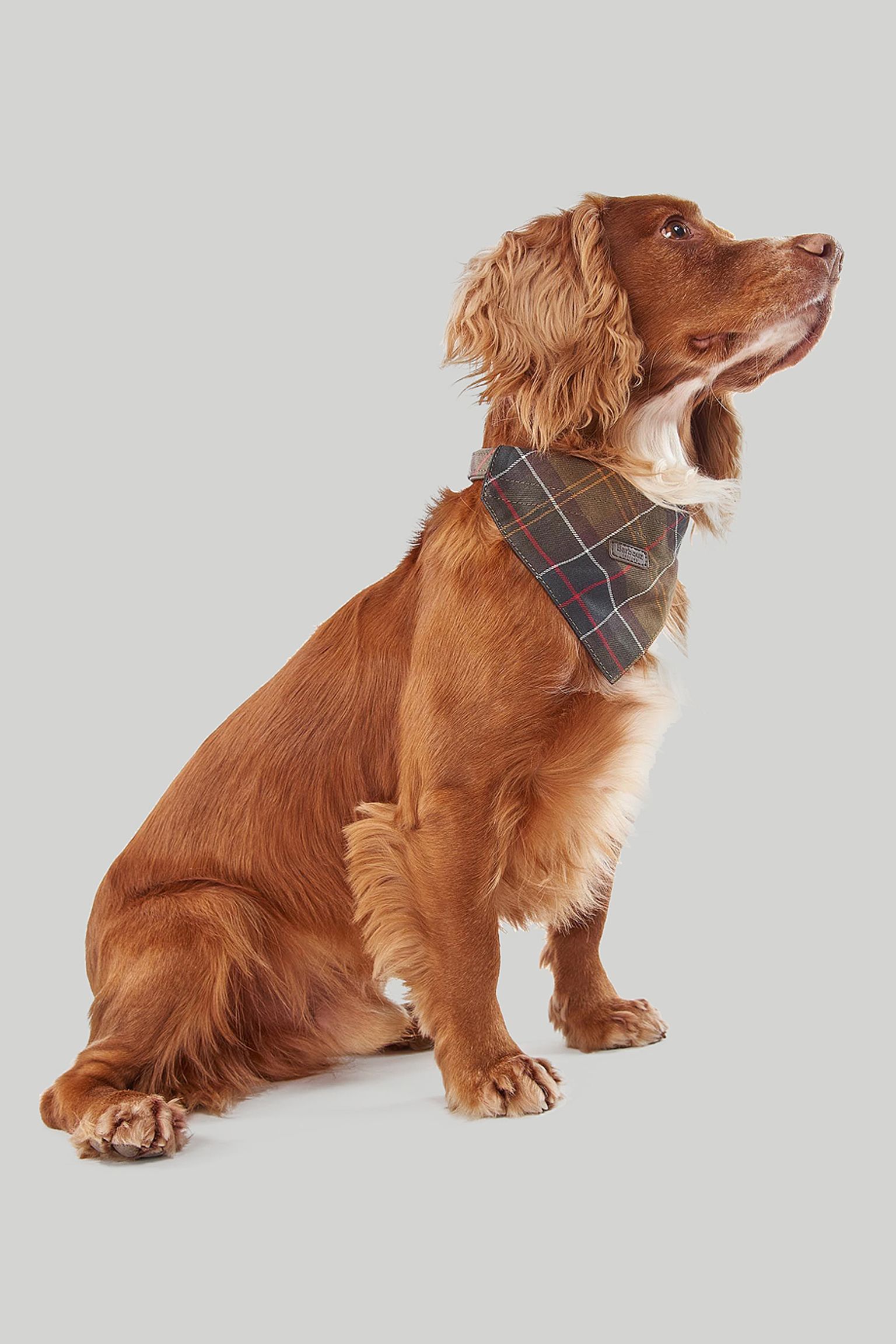 Нашийник Barbour Dog Bandana