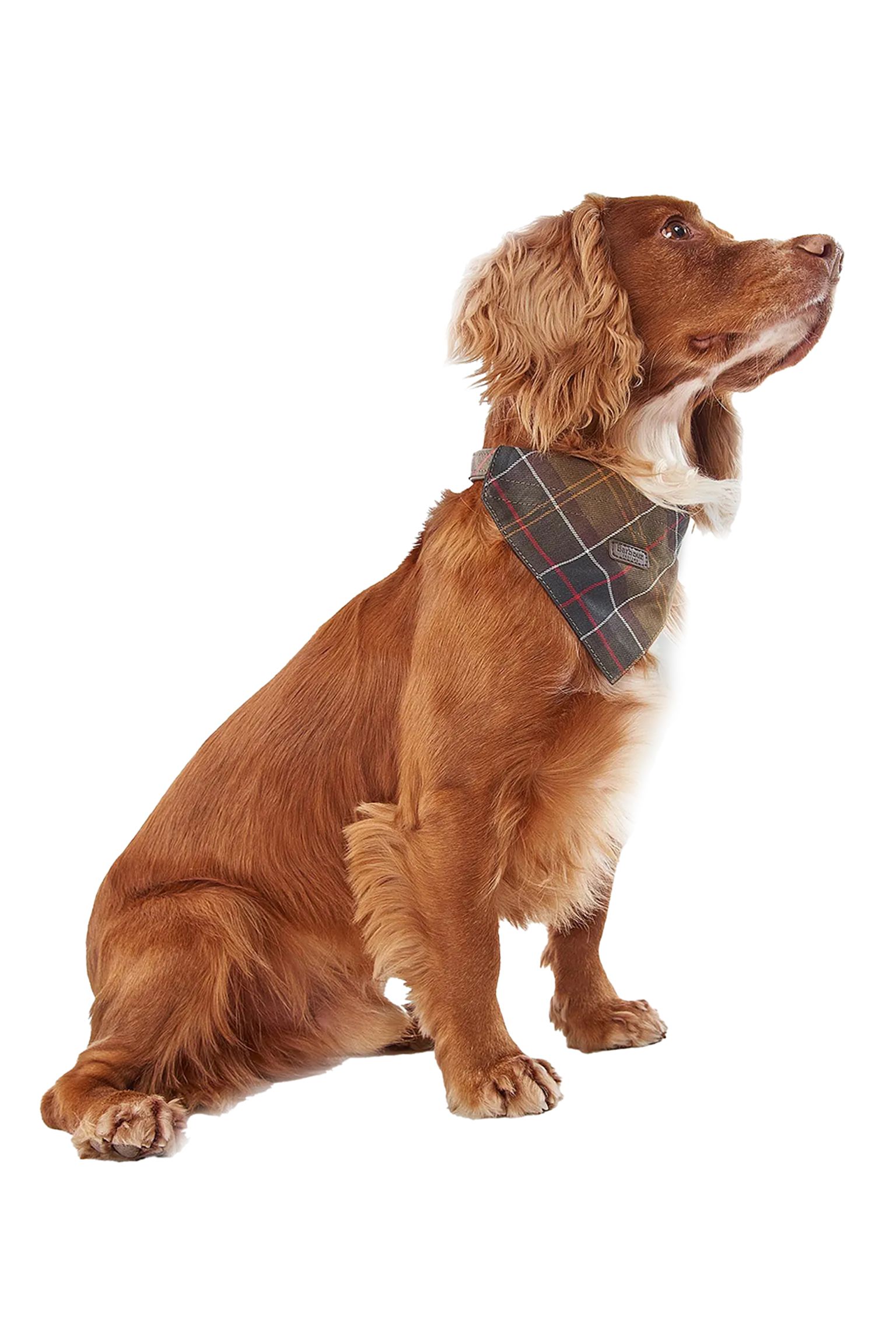 Ошейник для собак для собак Dog Bandana
