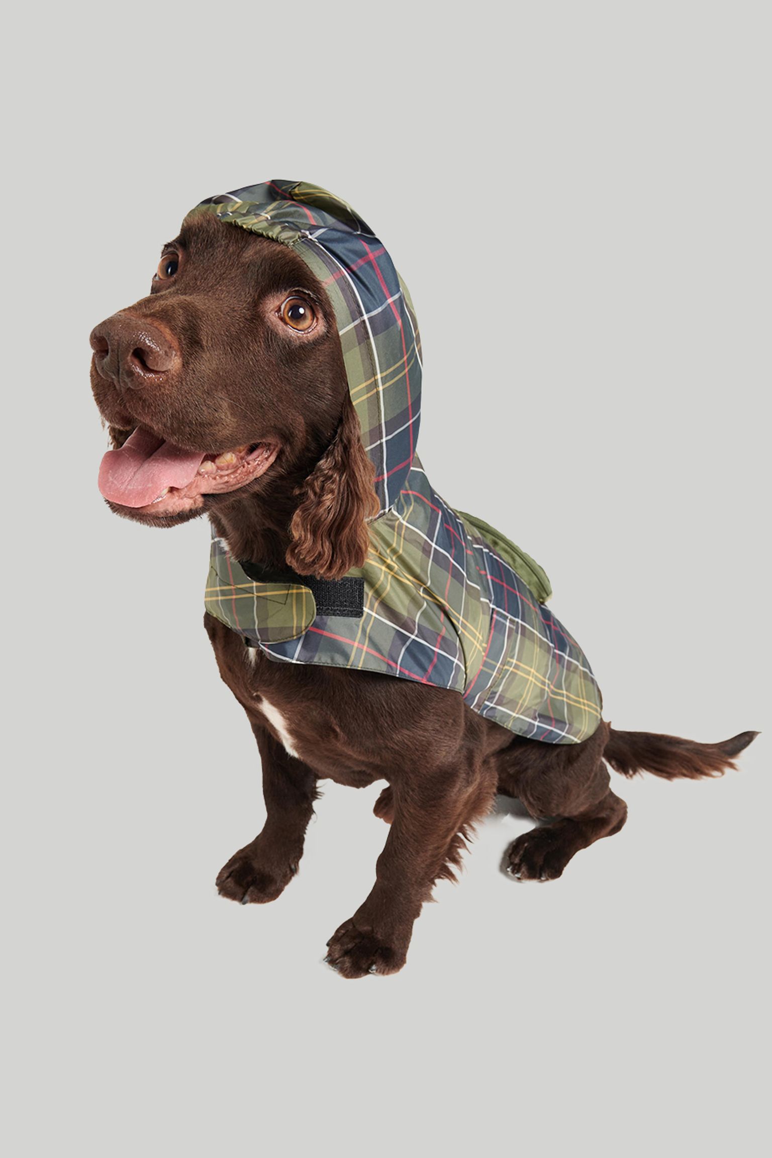 Одежда для собак PACKABLE TARTAN DOG COAT