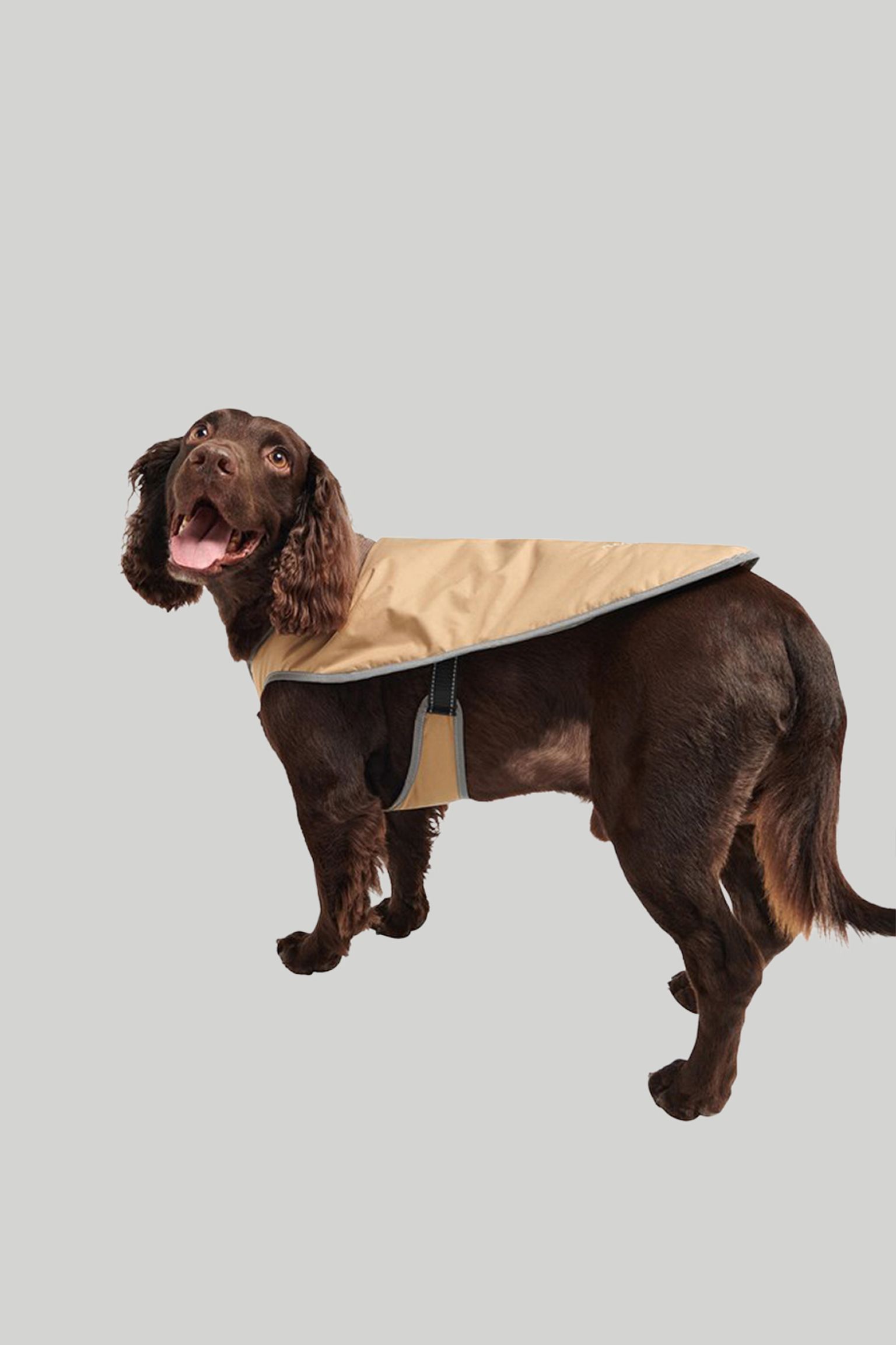 Одяг для собак MONMOUTH WATERPROOF DOG COAT