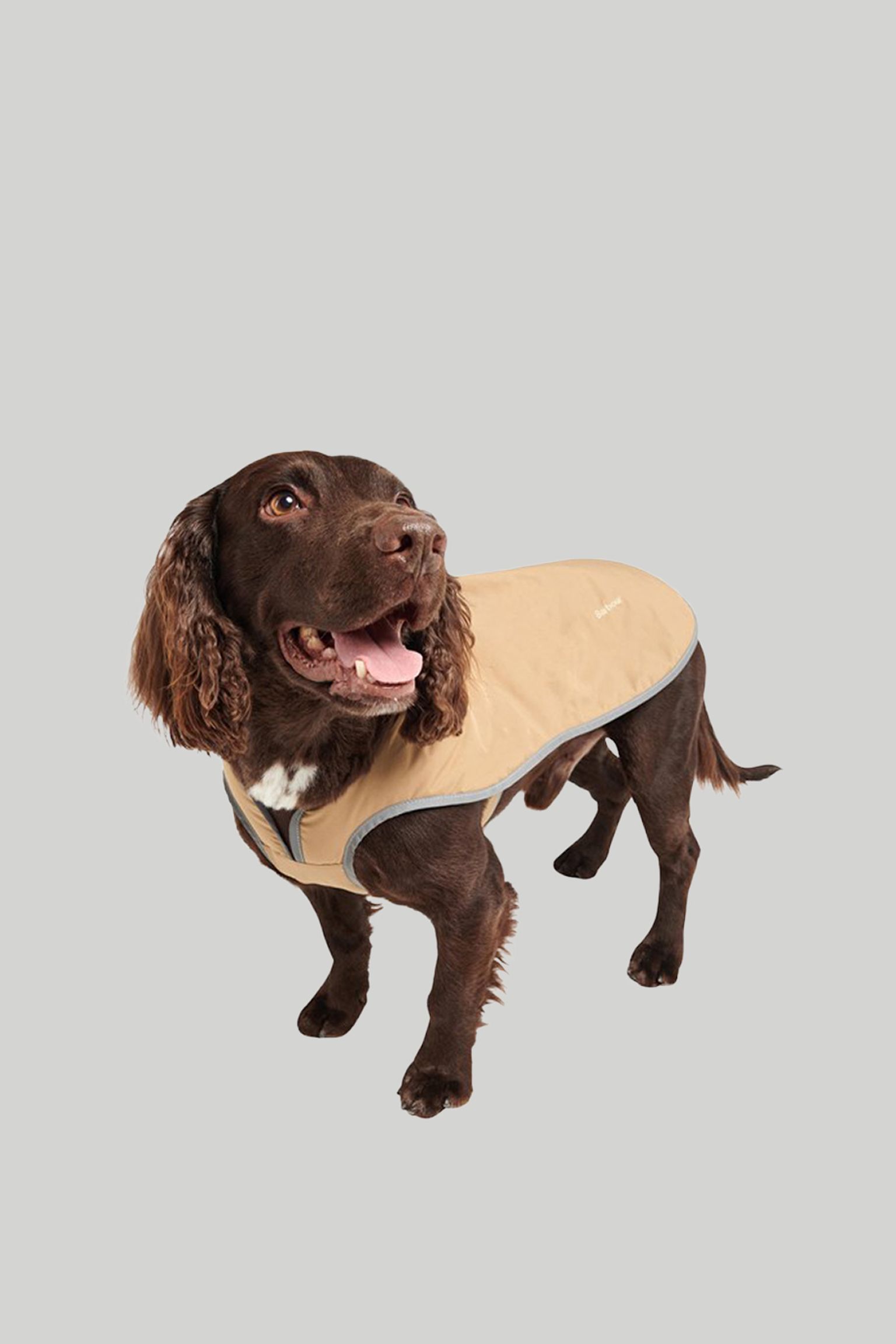 Одяг для собак MONMOUTH WATERPROOF DOG COAT