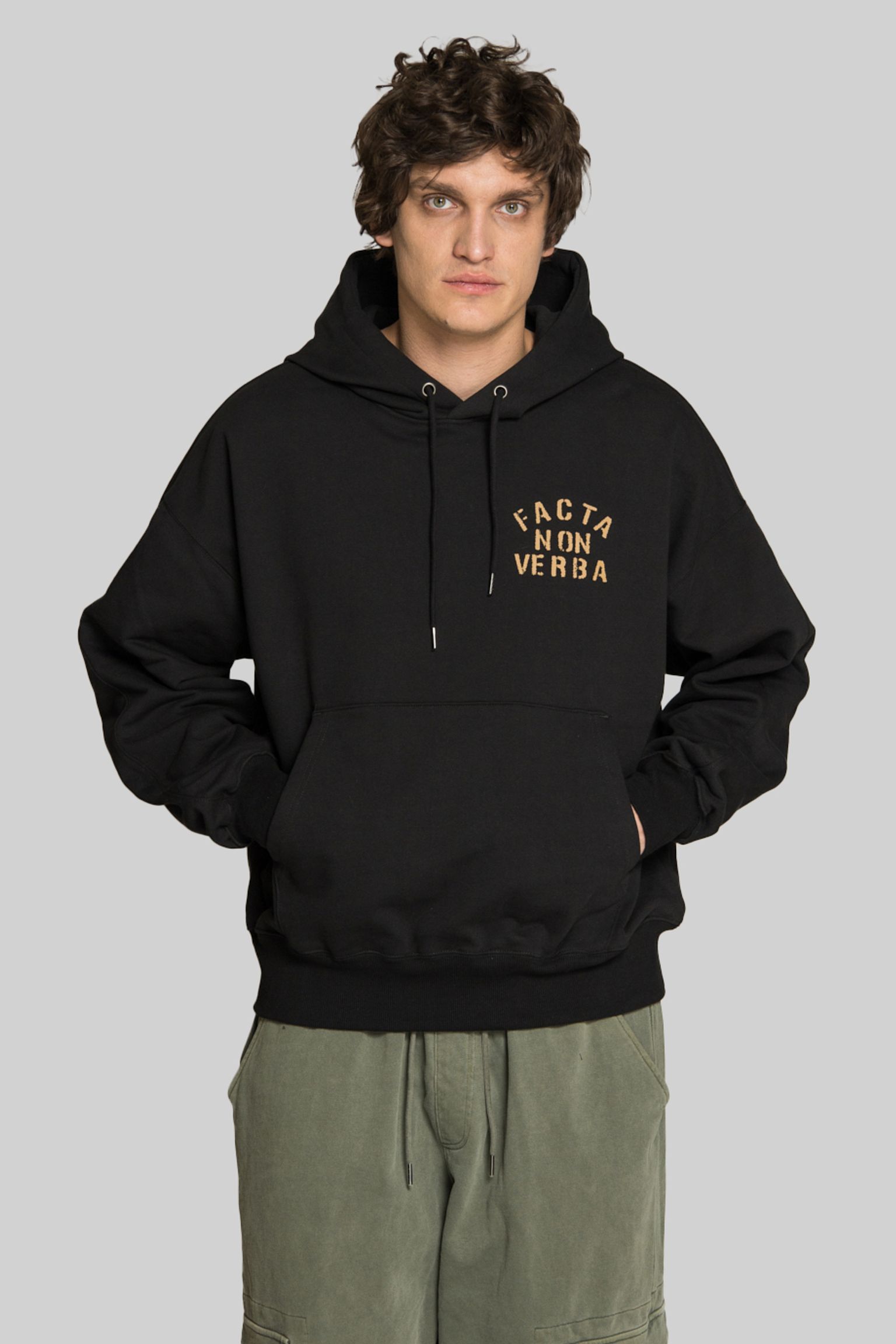 Худі FRIZMWORKS FACTA NON VERBA HOODY BLACK