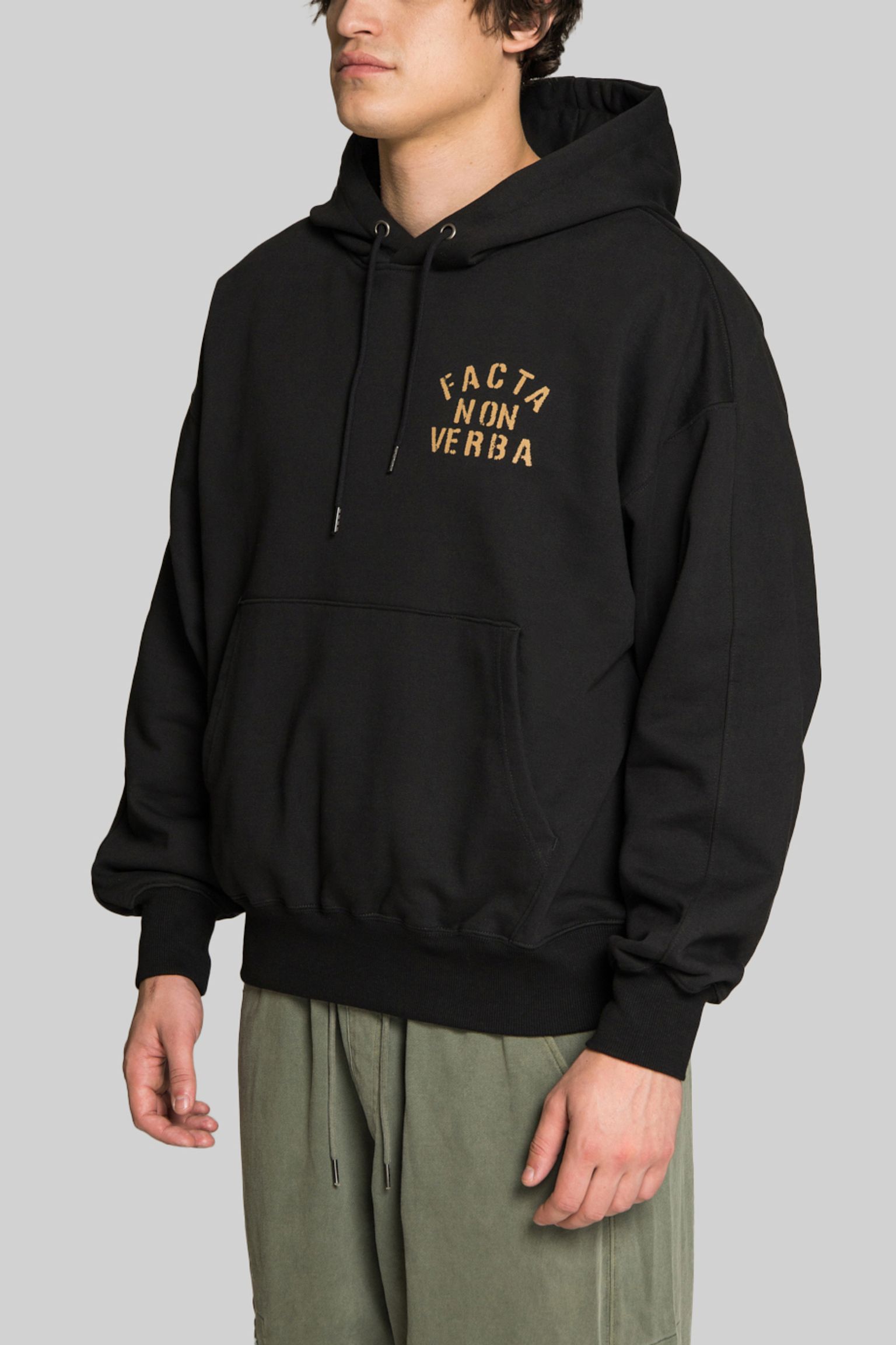 Худі FRIZMWORKS FACTA NON VERBA HOODY BLACK