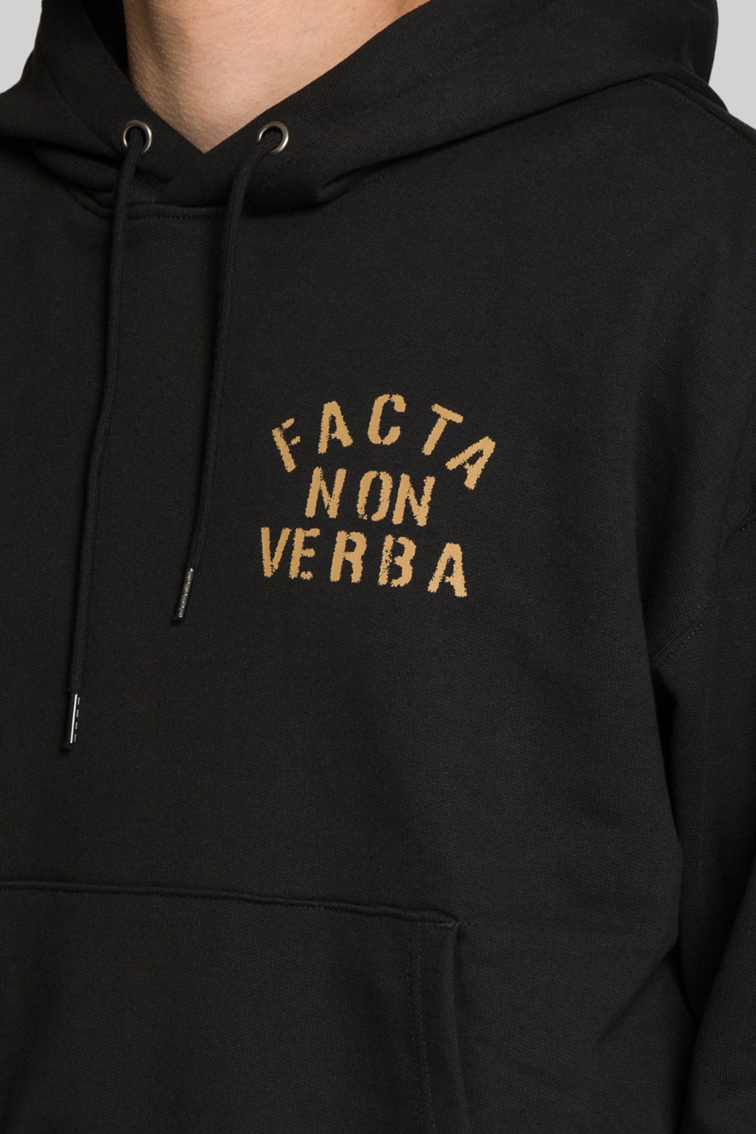 Худі FRIZMWORKS FACTA NON VERBA HOODY BLACK