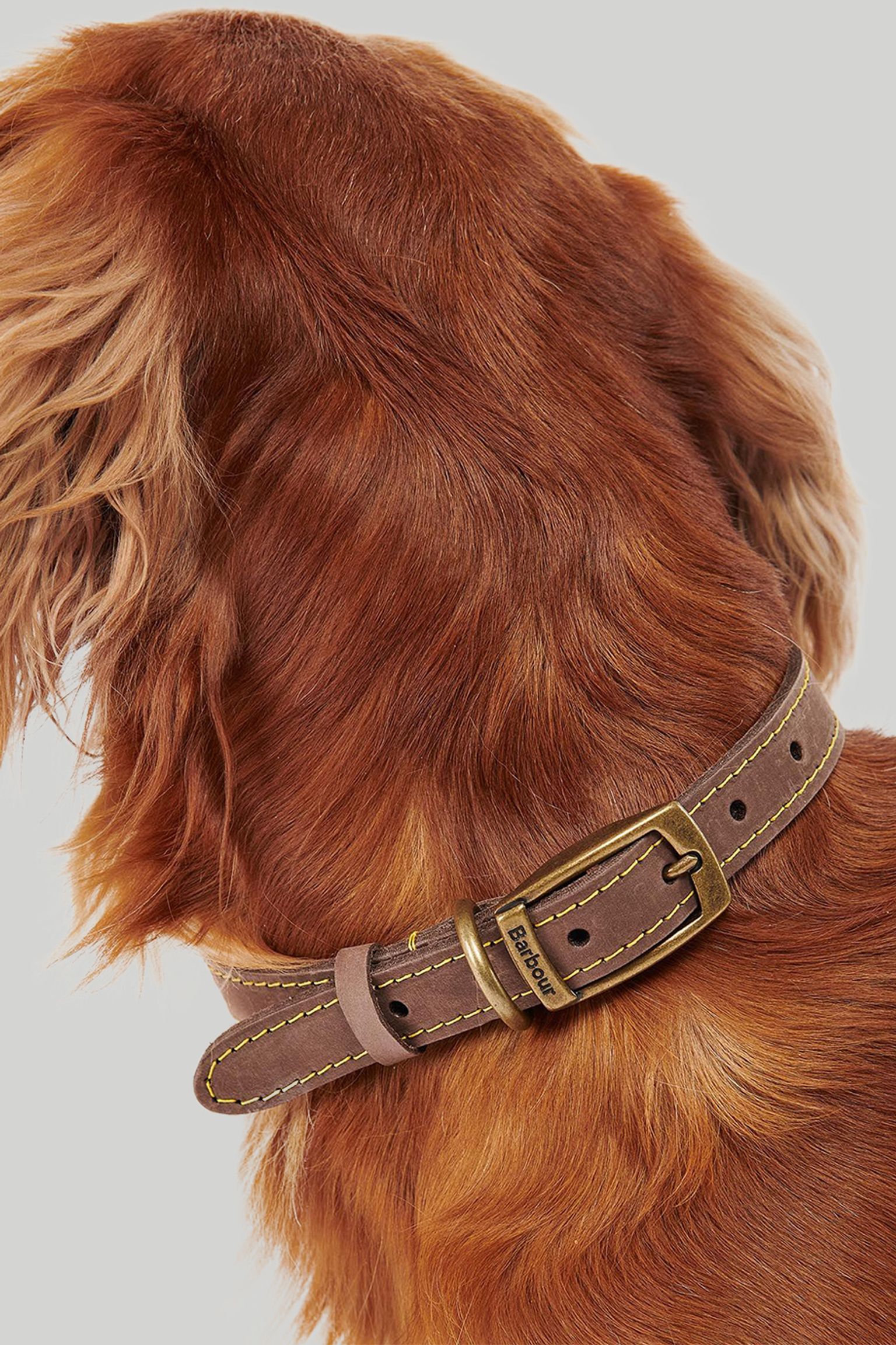 Нашийник LEATHER DOG COLLAR