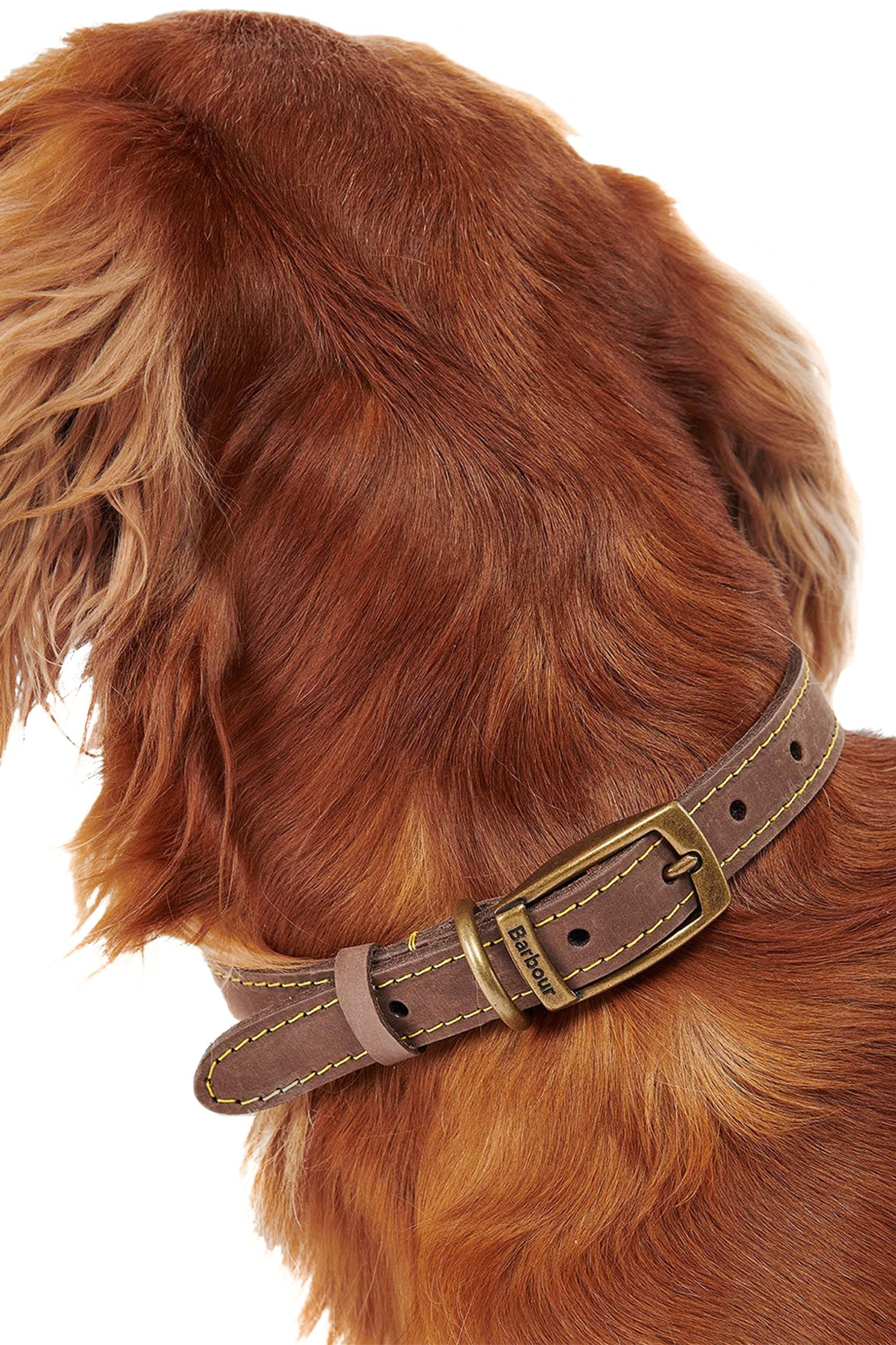 Ошейник LEATHER DOG COLLAR купить в Украине