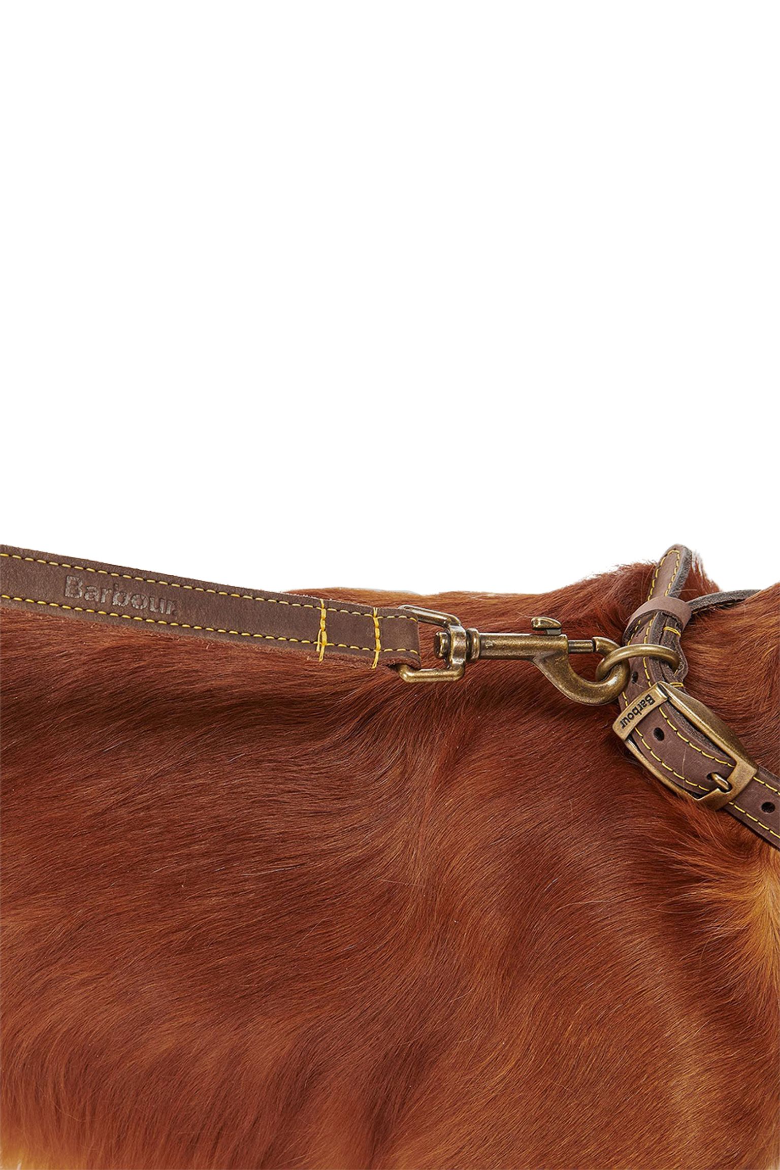 Поводок для собак LEATHER DOG LEAD с доставкой