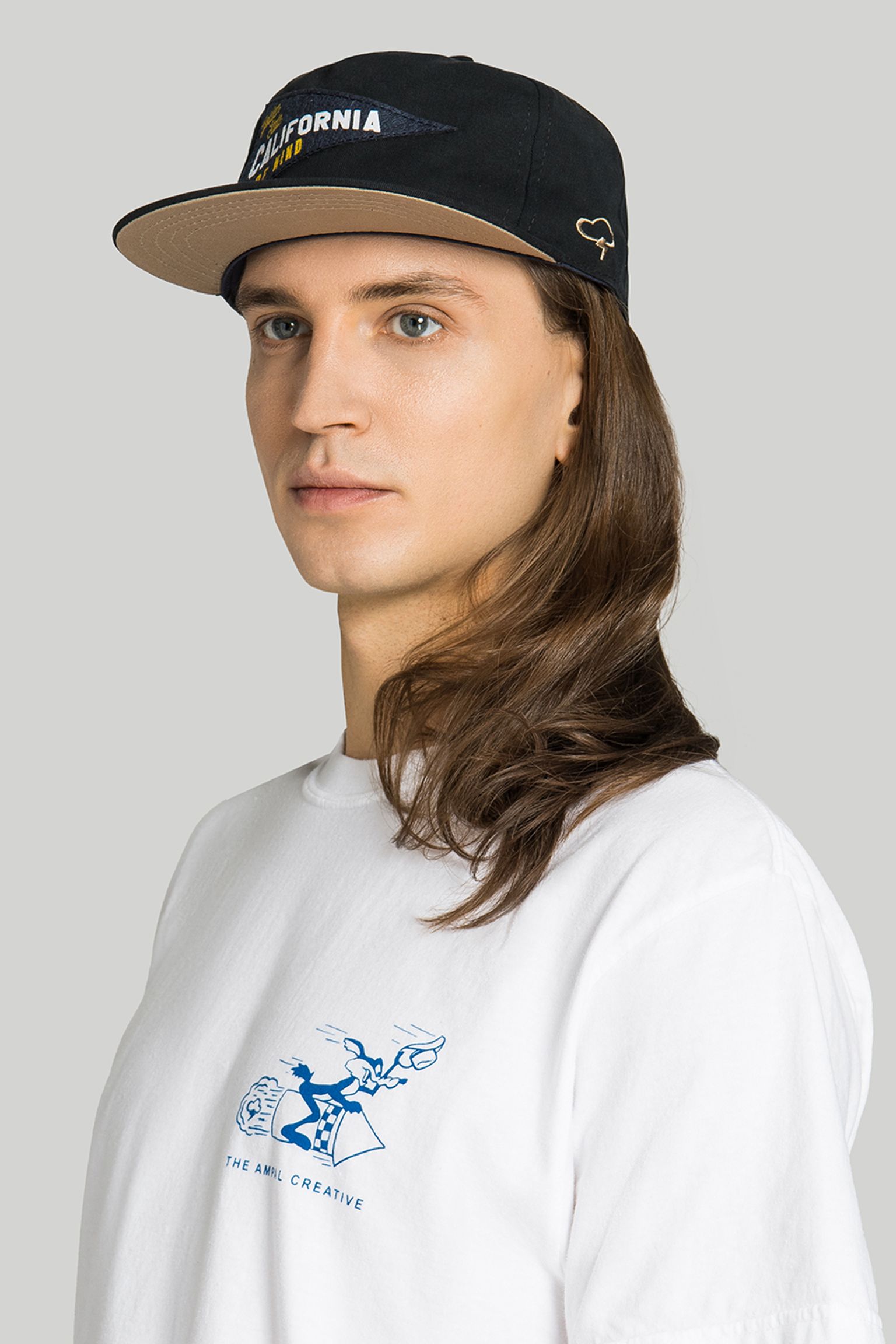 Бейсболка   California Pennant Hat купити в Україні