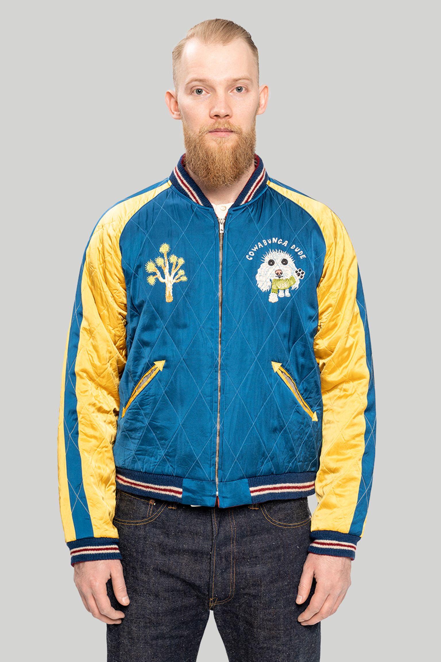 Куртка Mister Freedom CALI-JAN SOUVENIR JACKET купити в Україні