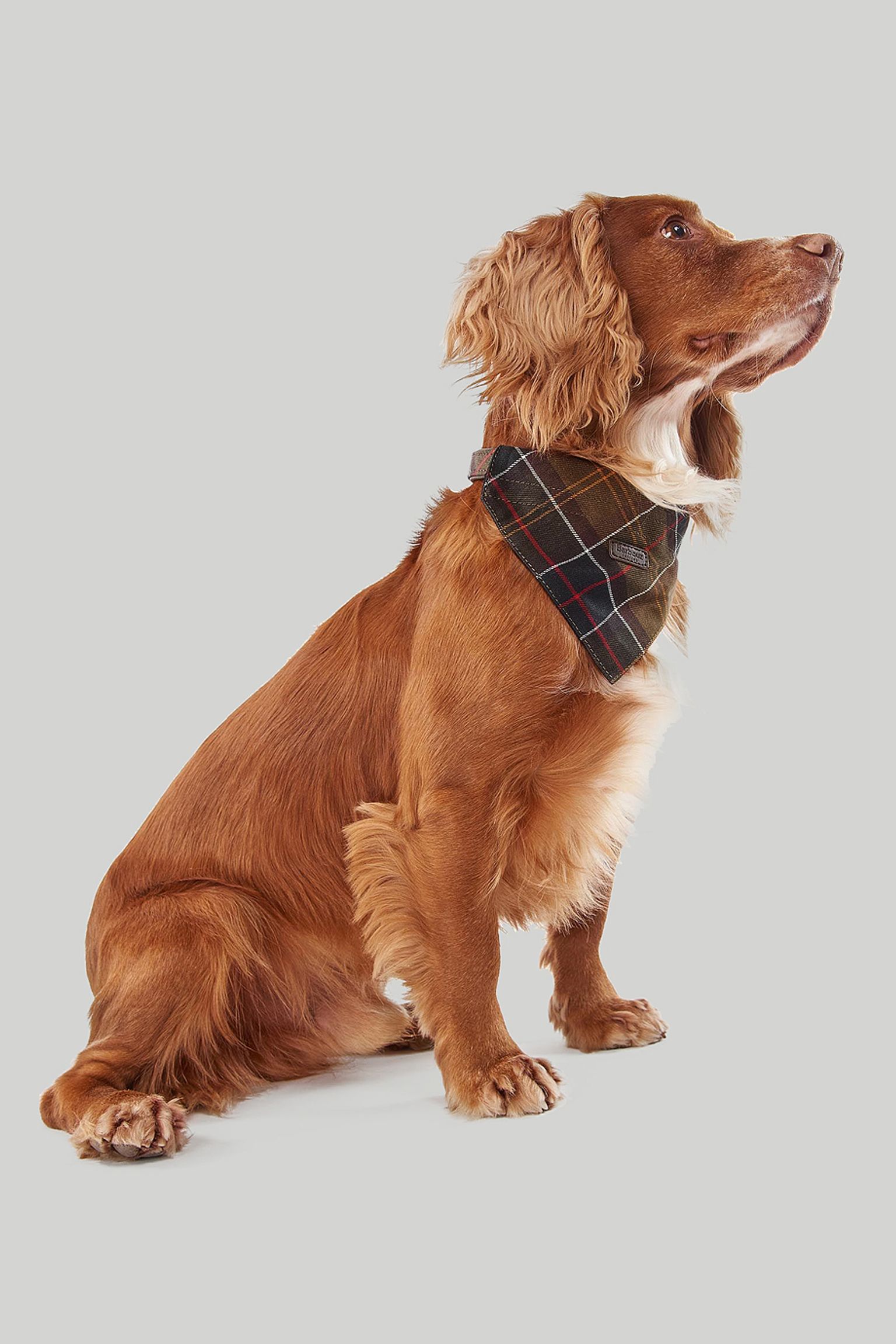 Нашийник+бандана Reflective Tartan Hunde Halsband