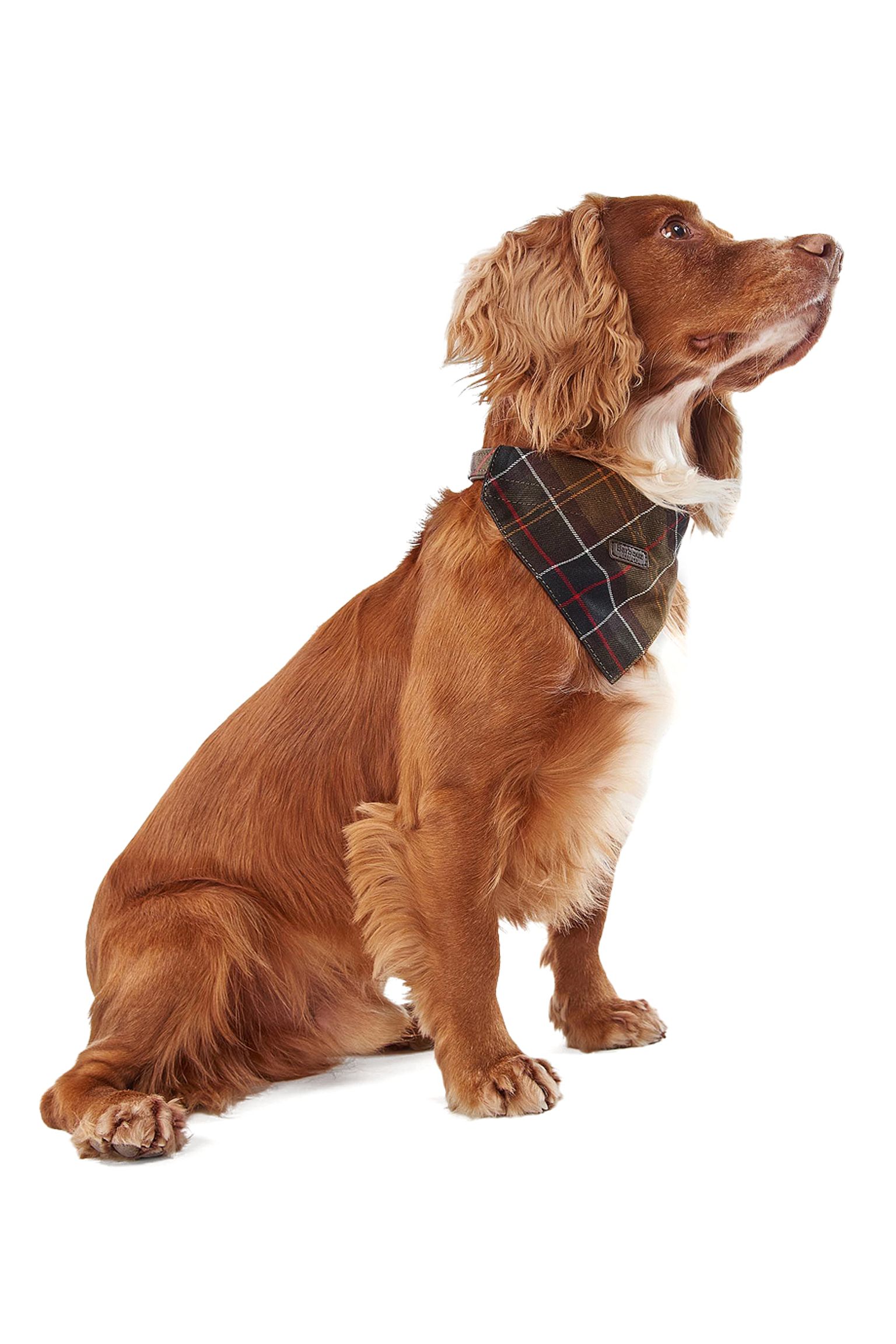 Ошейник Reflective Tartan Hunde Halsband с доставкой