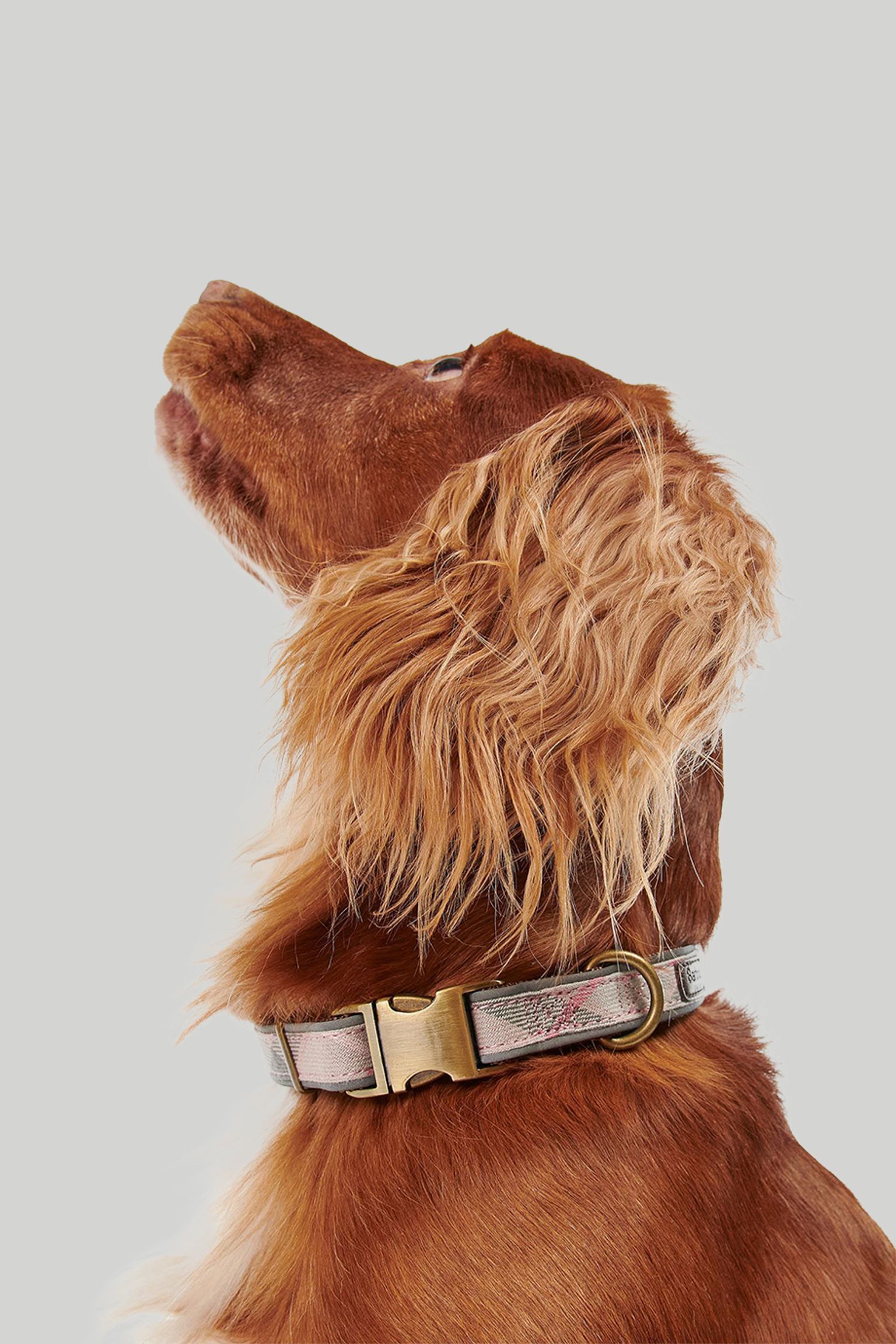 Нашийник+бандана REFLECTIVE TARTAN DOG COLLAR