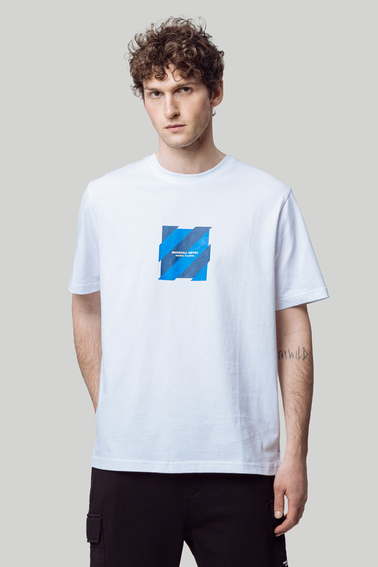 Футболка MARSHALL ARTIST CHEVRON T-SHIRT купить
