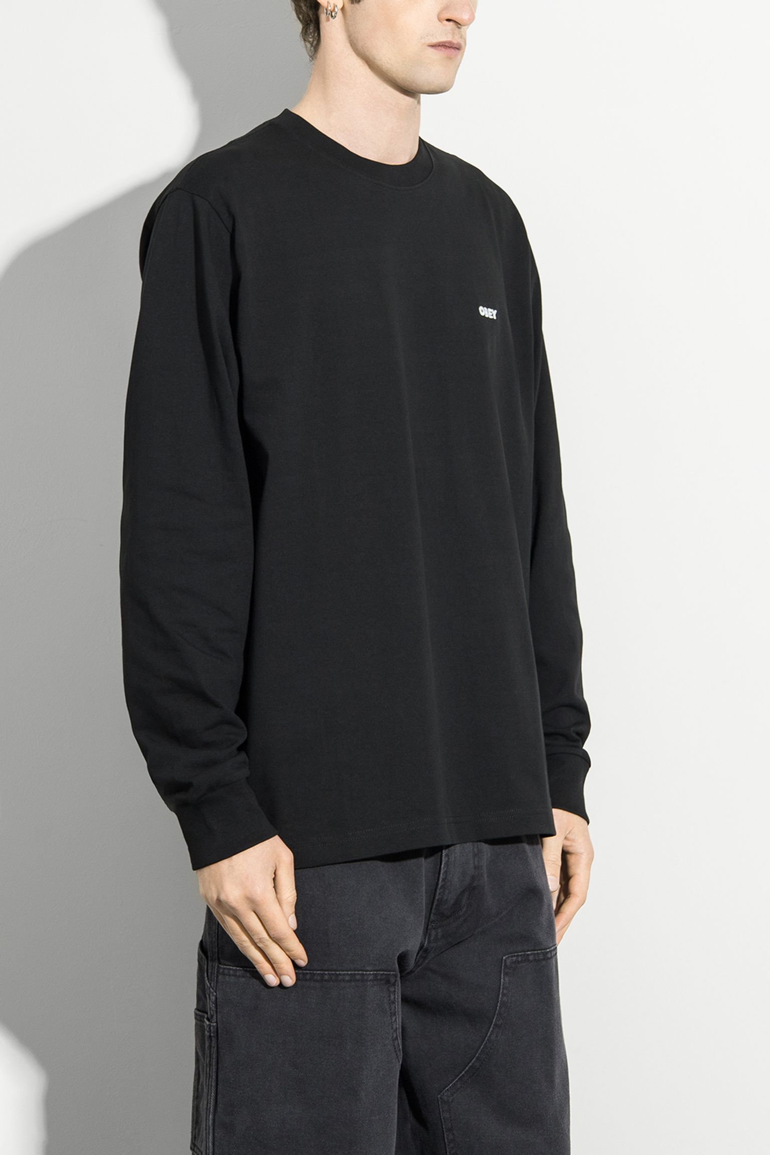 Лонгслів ESTABLISHED WORKS BOLD TEE з доставкою