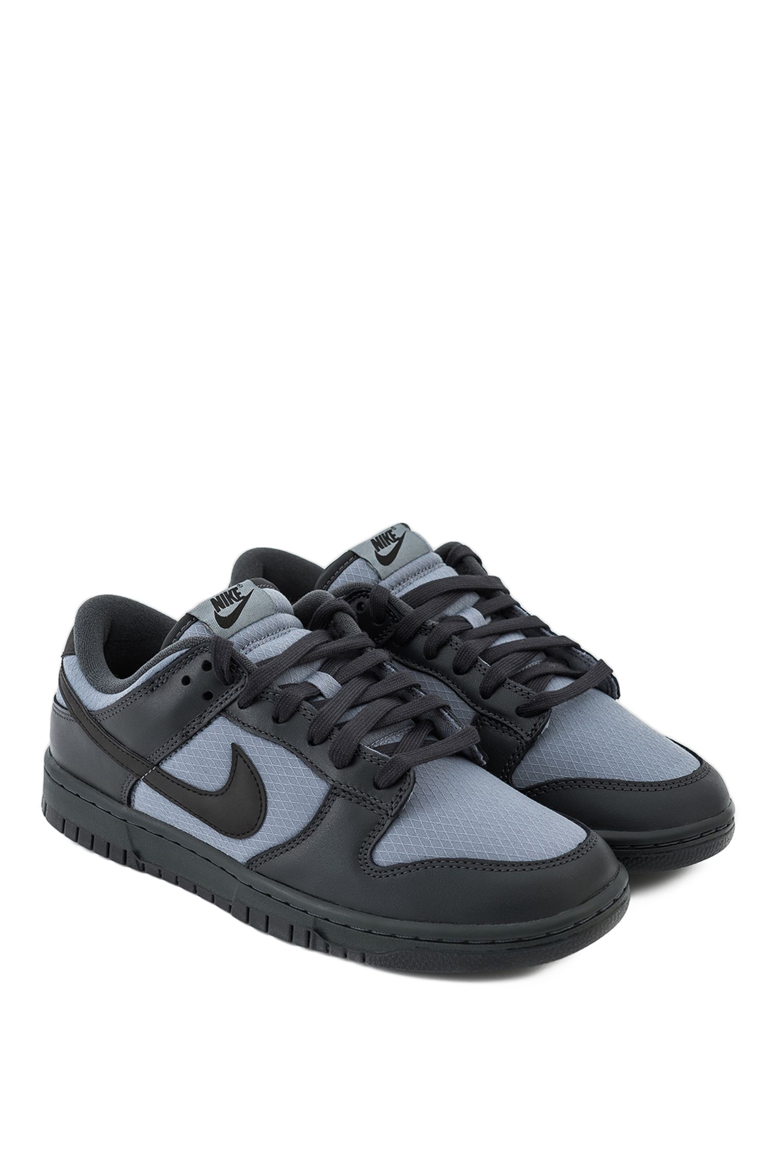 кросівки DUNK LOW RETRO SE WNTR