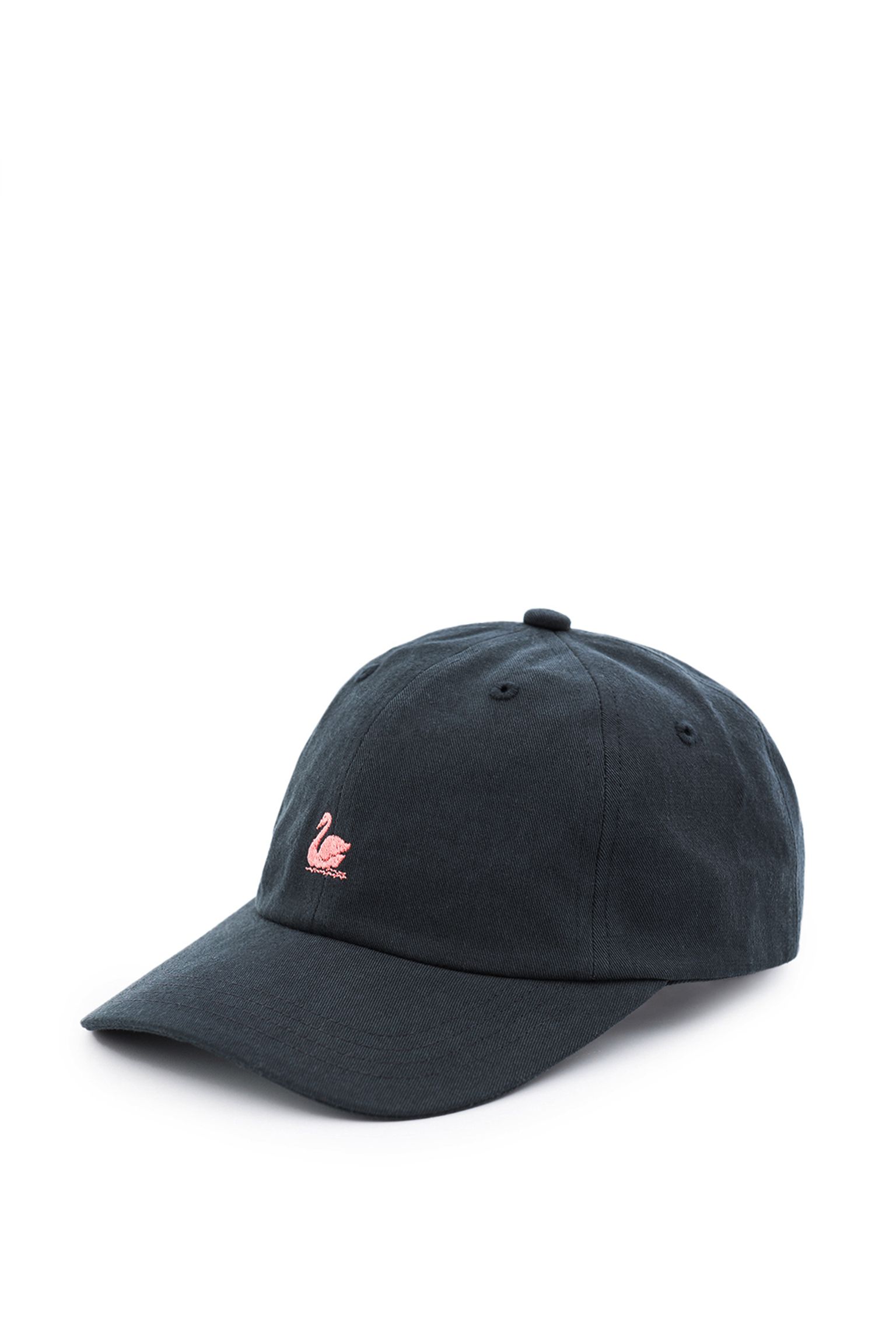 бейсболка Swan Logo cap