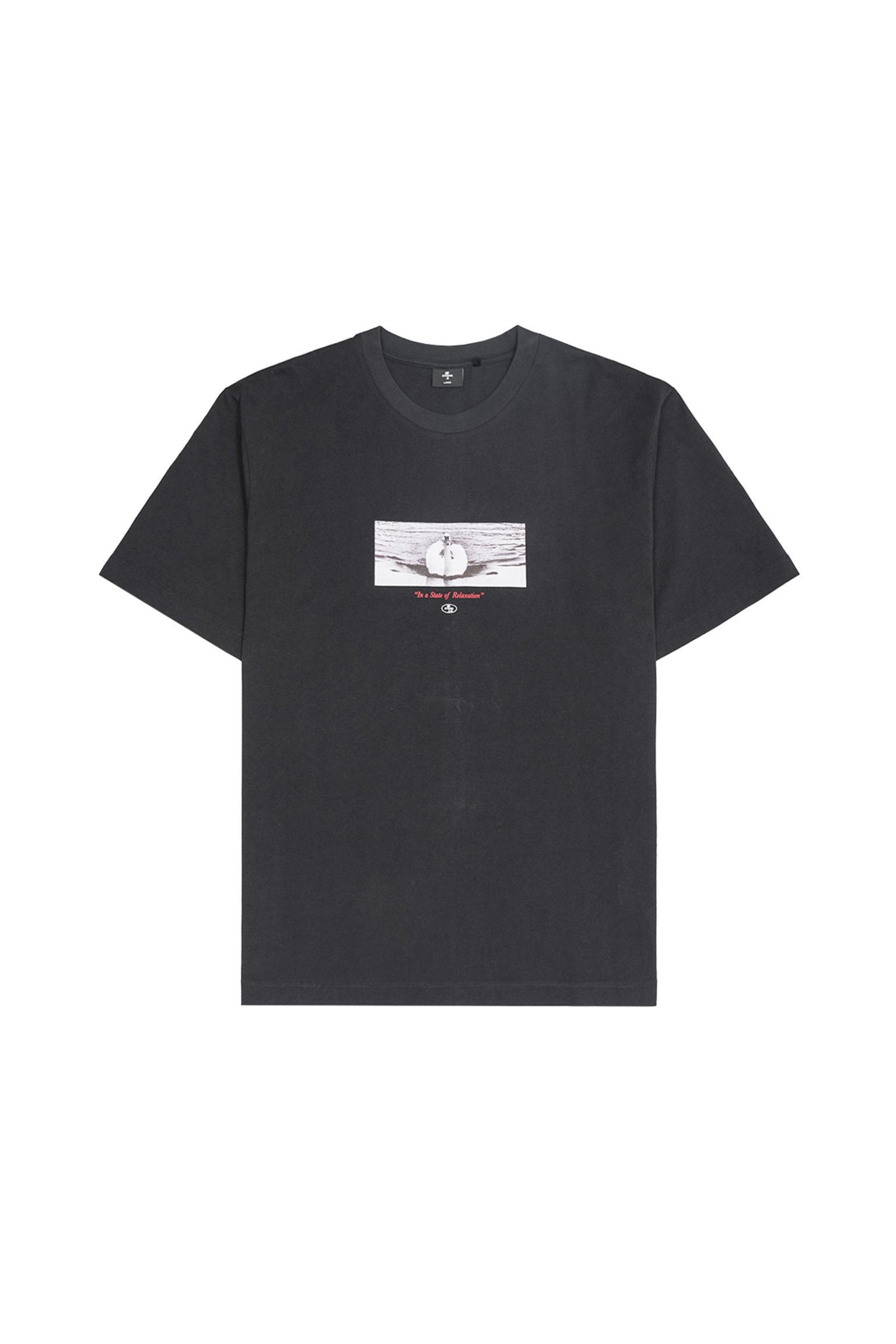 Футболка Swan Song Oversize Fit купити