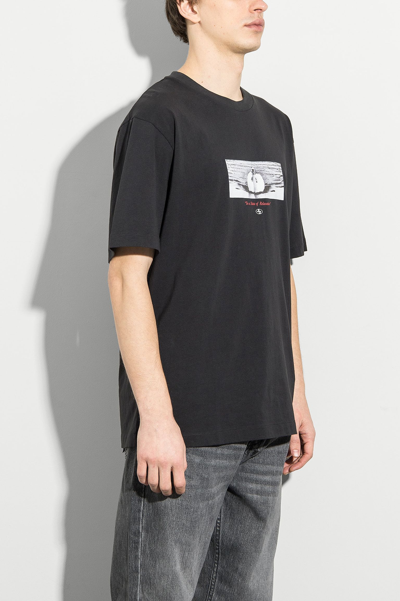 Футболка Swan Song Oversize Fit з доставкою