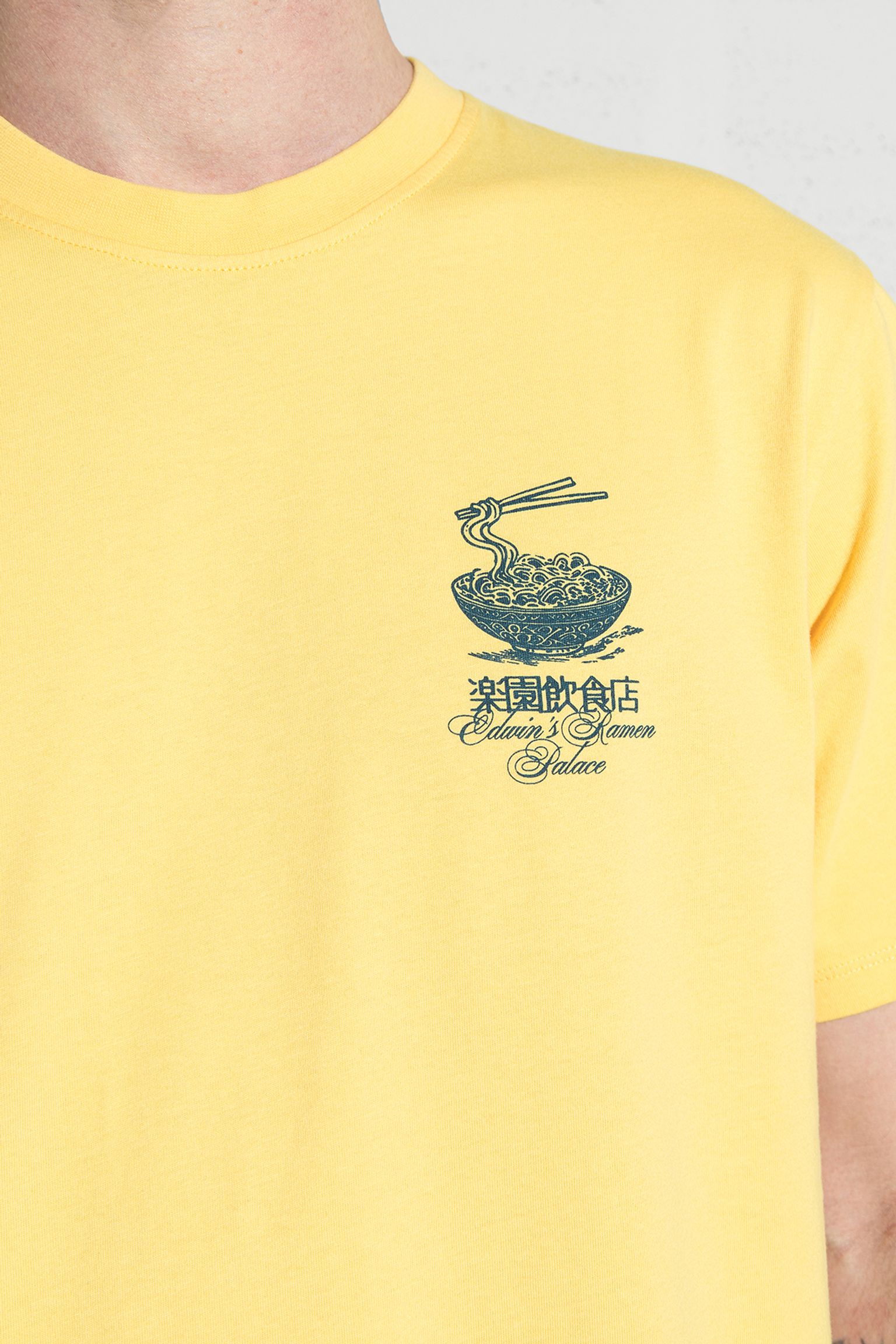 Широкий выбор Футболка Ramen Palace TS Single Jersey Yarrow garment washed