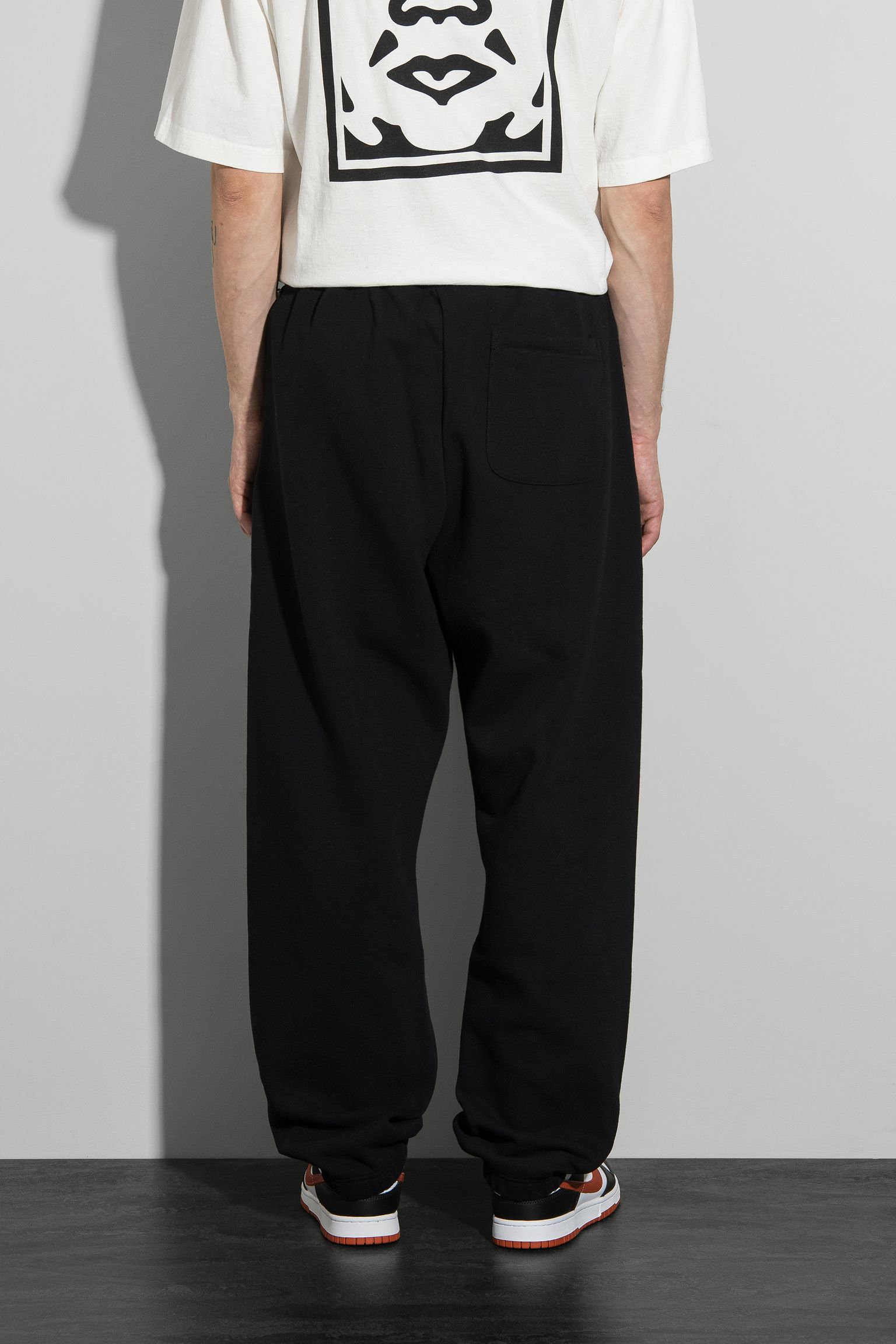 Спортивные брюки ESTABLISHED WORKS BOLD II