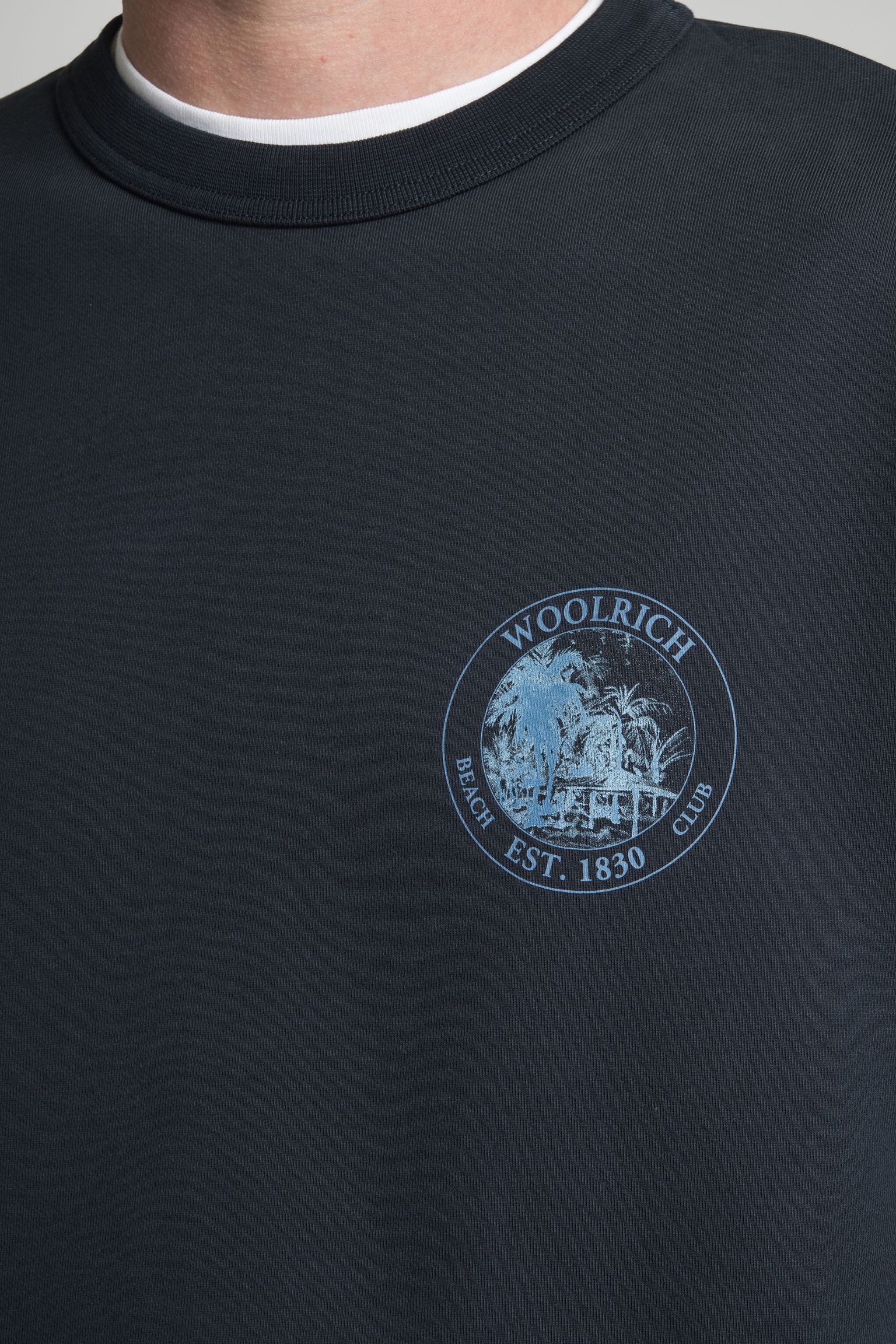 Широкий вибір Світшот GRAPHIC CREWNECK